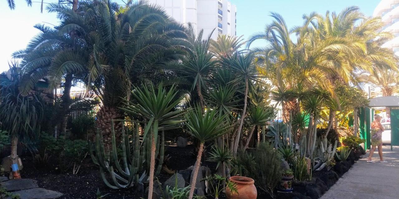 דירות מספאלומס Cactus מראה חיצוני תמונה